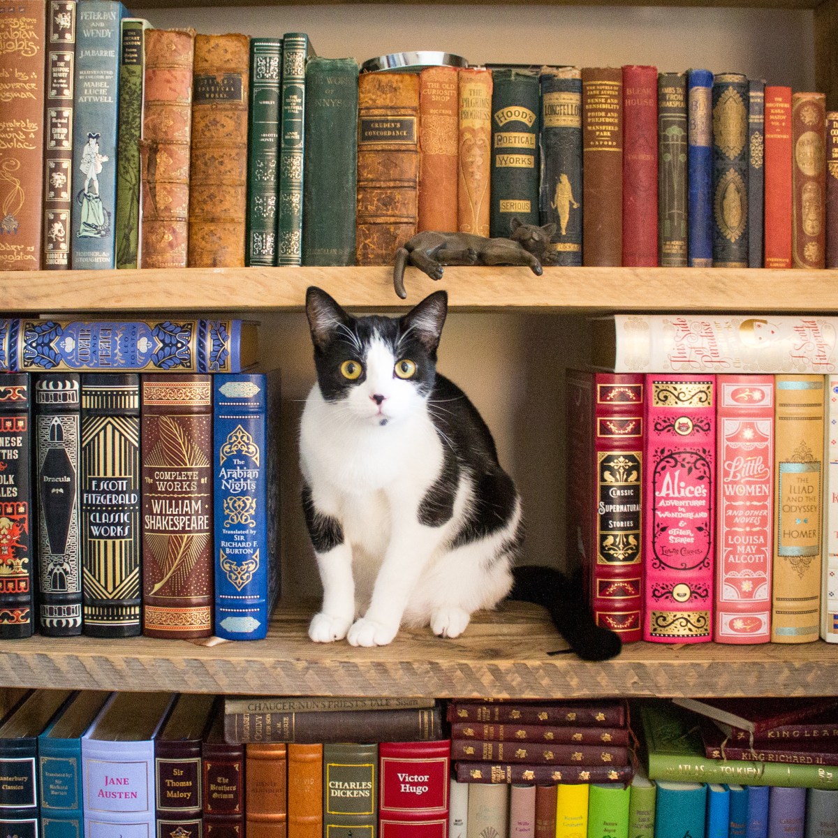 Sharing A New Writing Challenge – 1,000 Happy&nbsp;Thoughts