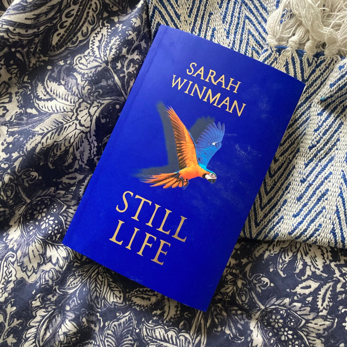 Still Life by Sarah&nbsp;Winman